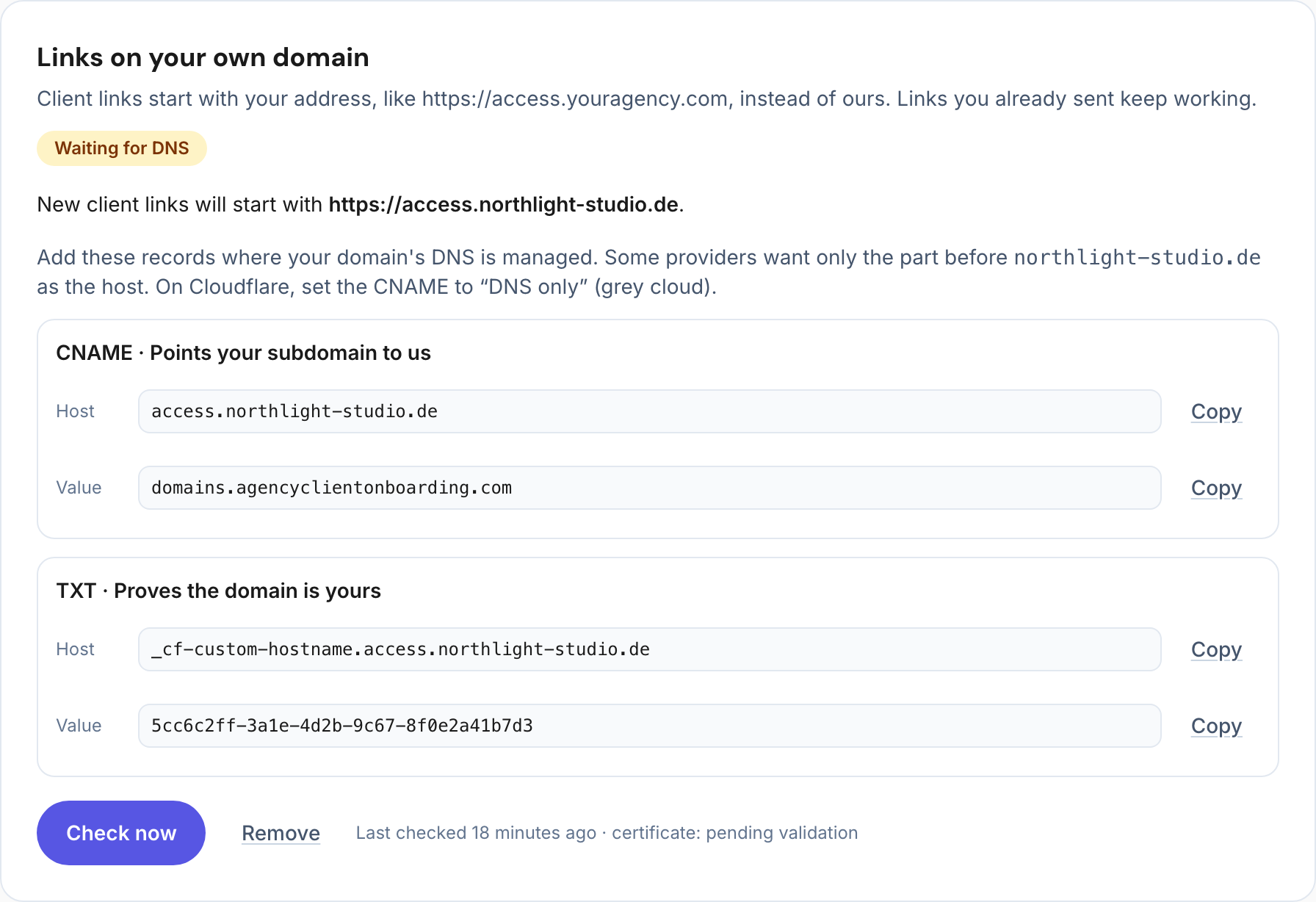 The link domain settings of Northlight Studio: access.northlight-studio.de waiting for DNS, with the CNAME and TXT records to add and a Check now button